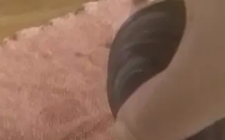 广西钦州正宗坭兴陶土制的茶壶