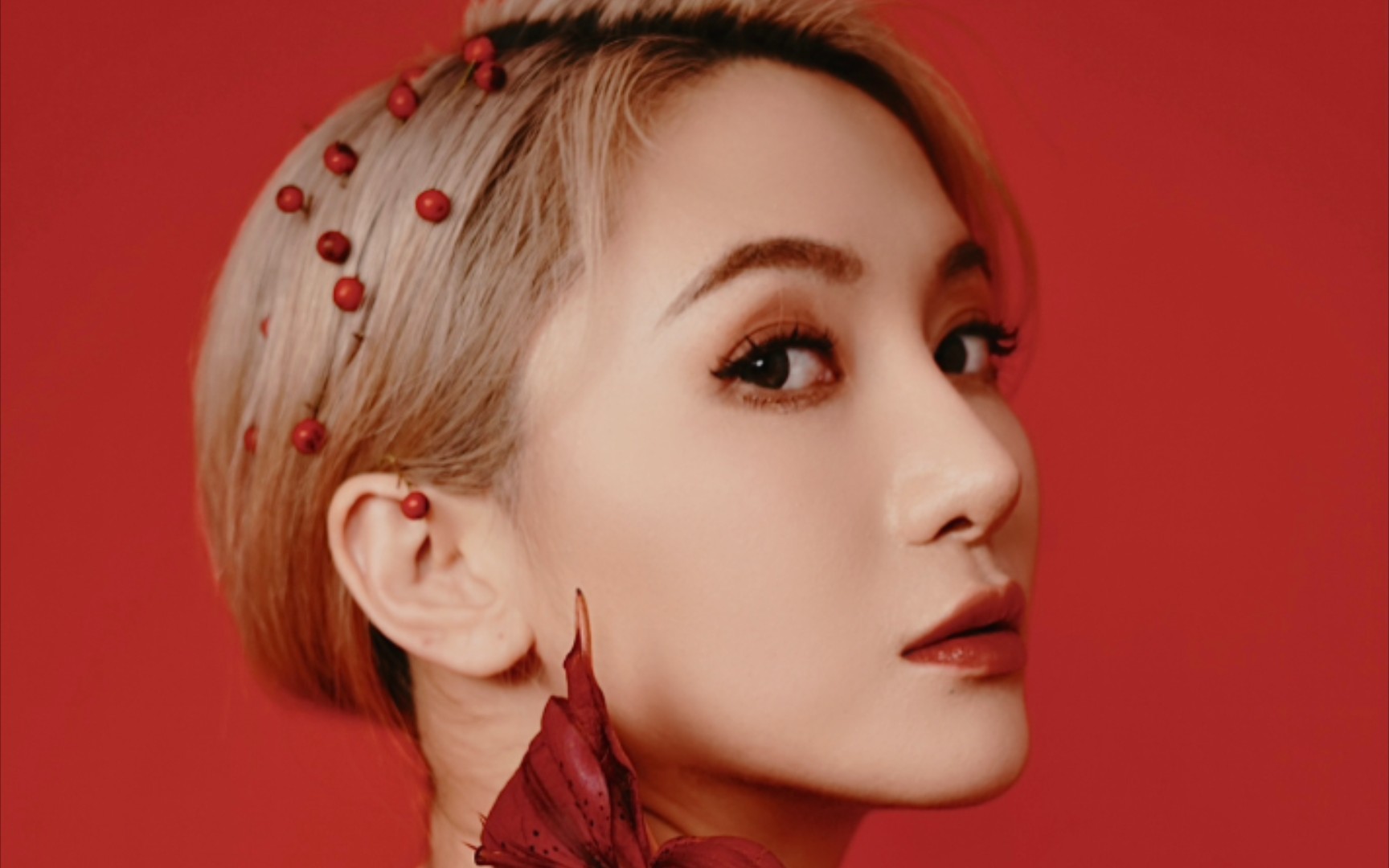 偶像要不要经常直播?来看陆婷给你上课