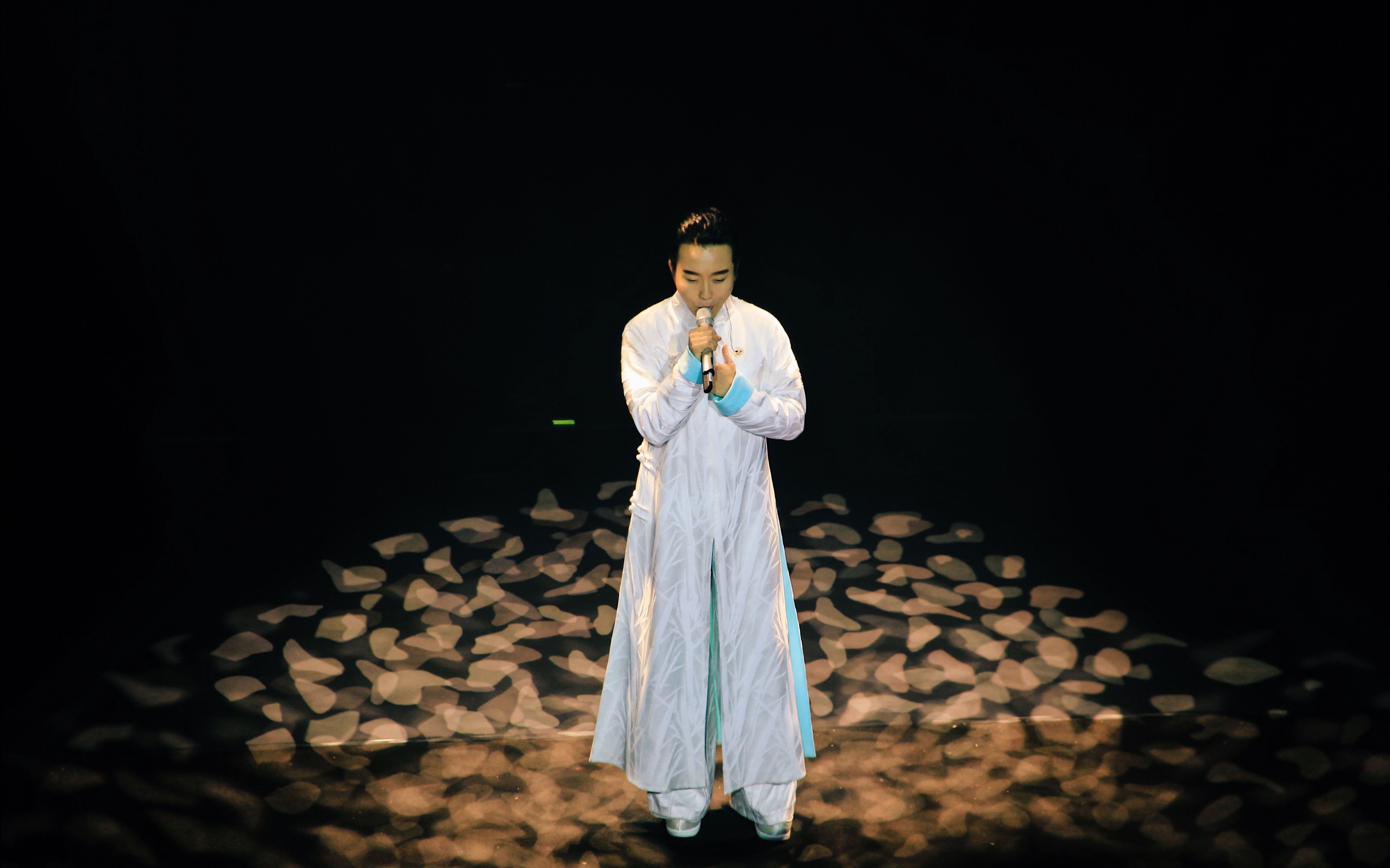 【李玉刚】雨花石 2017.4.5梅兰芳大剧院十年经典演唱会饭拍现场