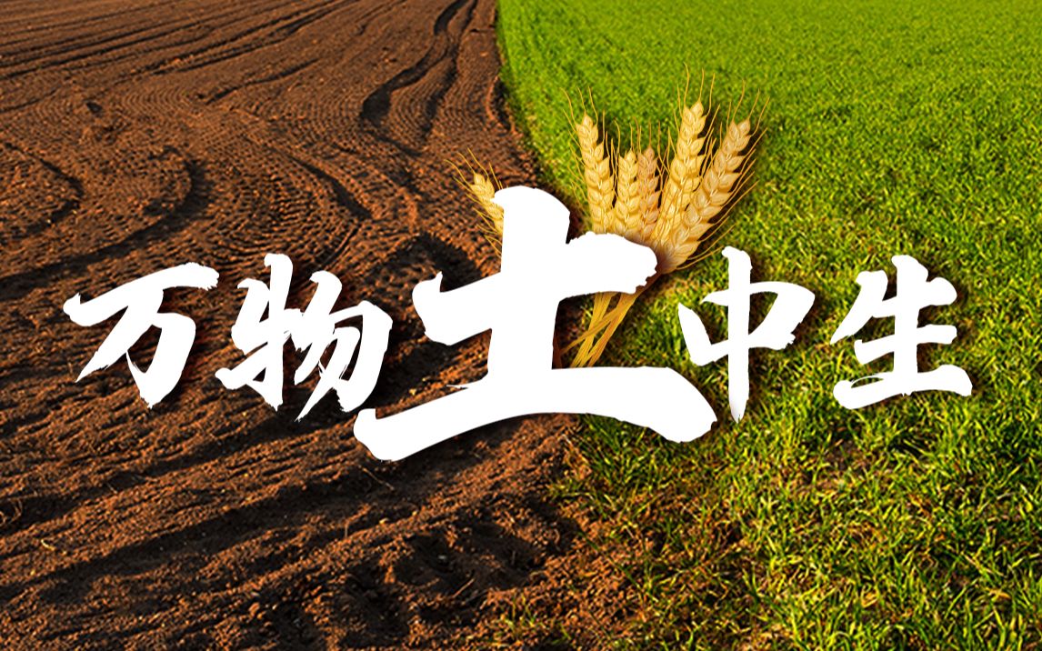 中国作为农业大国,土地就是饭碗,饭碗就要捏在自己手里!