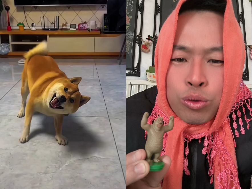 这个二狗子是个演技派