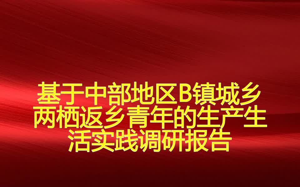 基于中部地区B镇城乡两栖返乡青年的生产生活实践调研报告哔哩哔哩bilibili