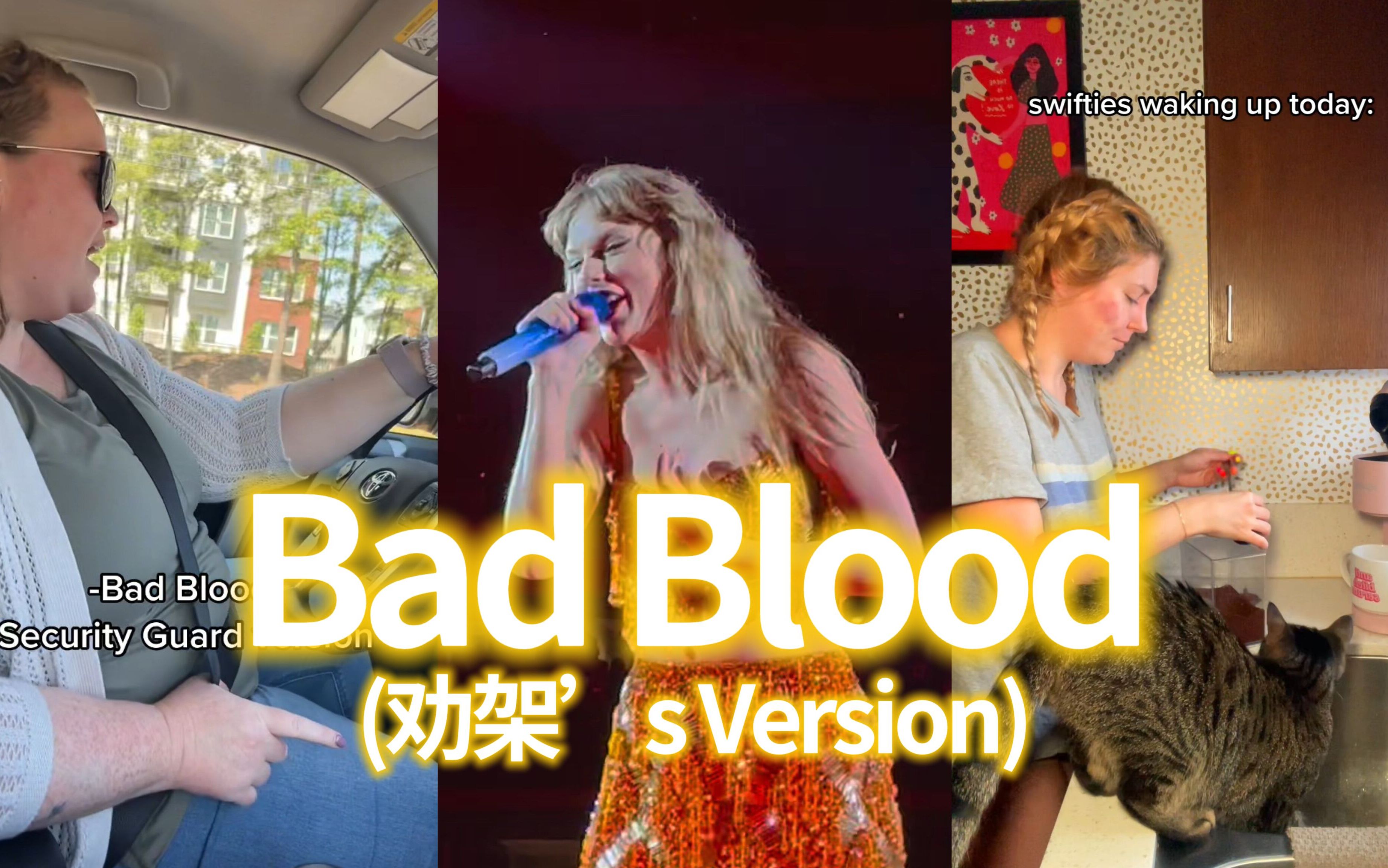 TaylorSwift演唱坏血时的劝架视频掀起模仿热潮 Bad Blood(劝架's Version)变成了新的网络梗哔哩哔哩bilibili