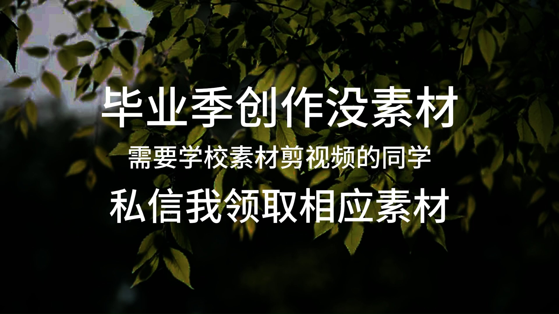 97胜利一中影像资料领取>>