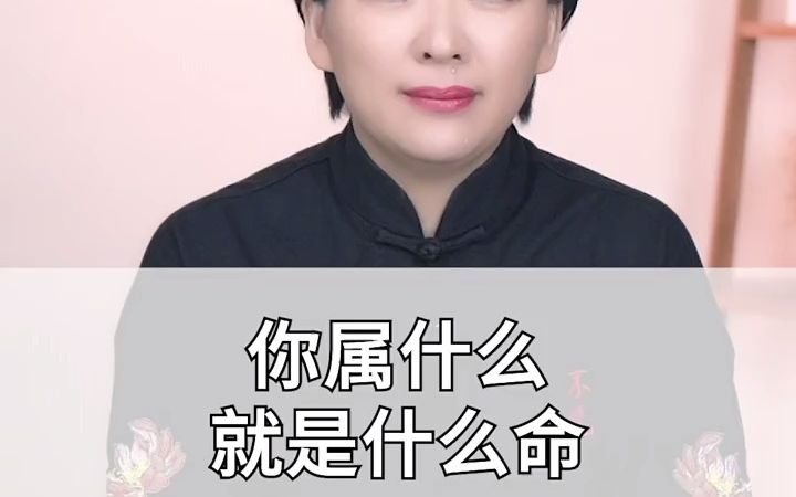 你是什么属相就是什么命哔哩哔哩bilibili