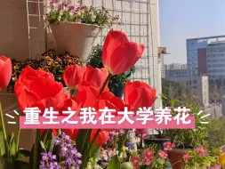 Video herunterladen: 重生之我在大学养花｜赛季 MVP结算画面。对养花人来说秋天才是植物轮回的开始，要陆续出养护教程啦