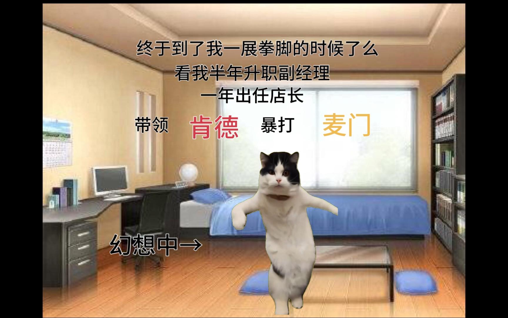 【猫meme】重生之去kfc面试储备经理哔哩哔哩bilibili