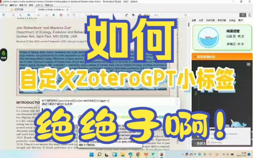 自定义ZoteroGPT的标签视频!让你的GPT一键摘要转综述!哔哩哔哩bilibili