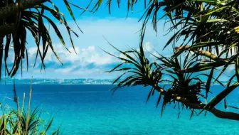 日语无字 神谷千尋 えんどうの花 哔哩哔哩 Bilibili