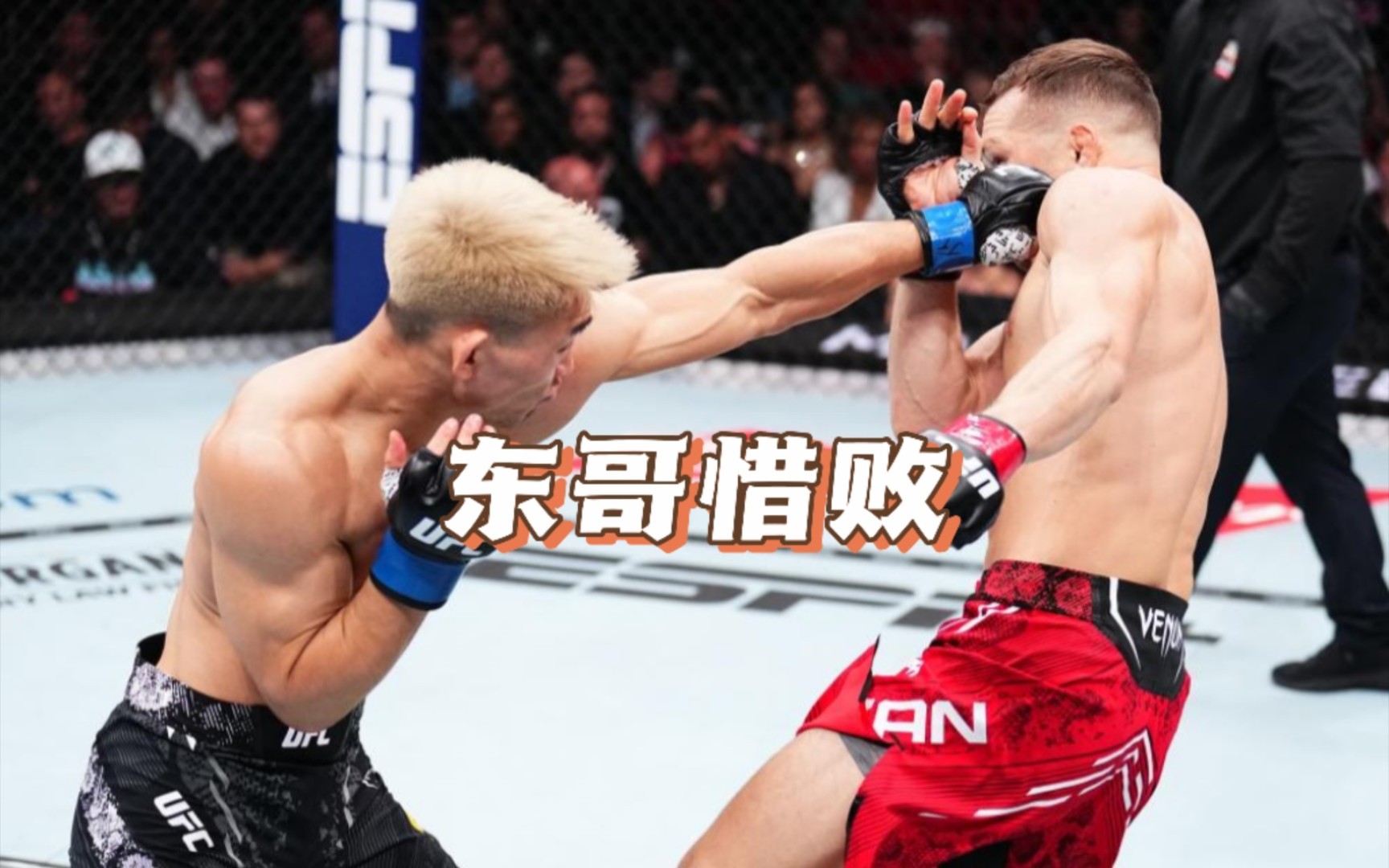 宋亚东vs彼得严|ufc299