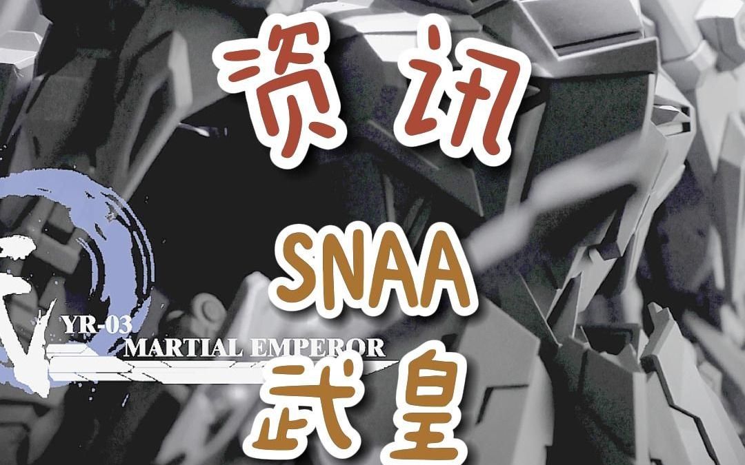 【资讯】SNAA武皇哔哩哔哩bilibili