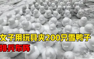 Descargar video: 女子用玩具夹200只雪鸭子排兵布阵：做了40分钟，小区人都在看