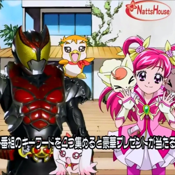 プリキュア 関連 Amazon.co.jp: プリキュアオールスターズ だいすきずかん（1