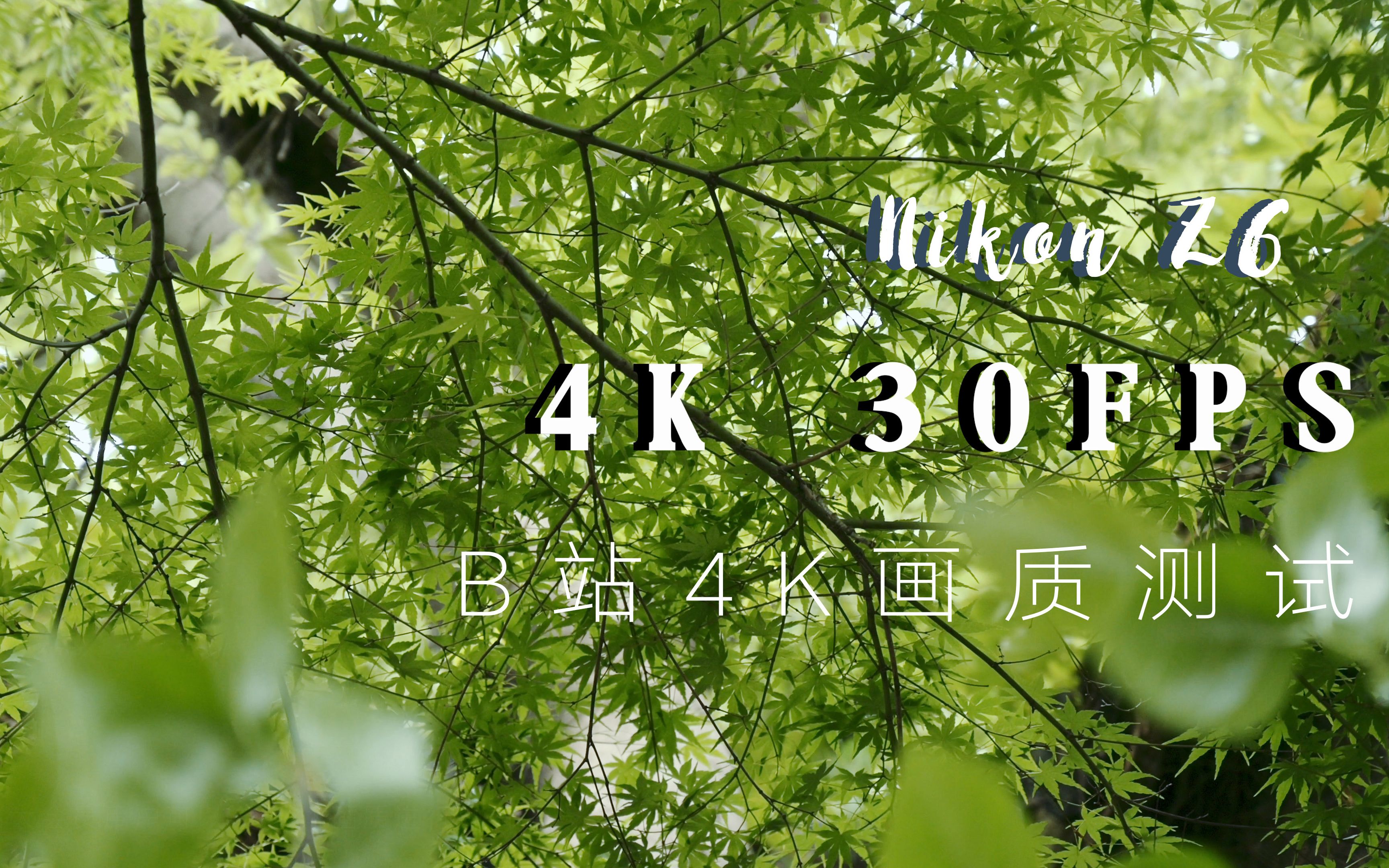 【原创短片】尼康z6视频测试4k短片 | 苏州之春