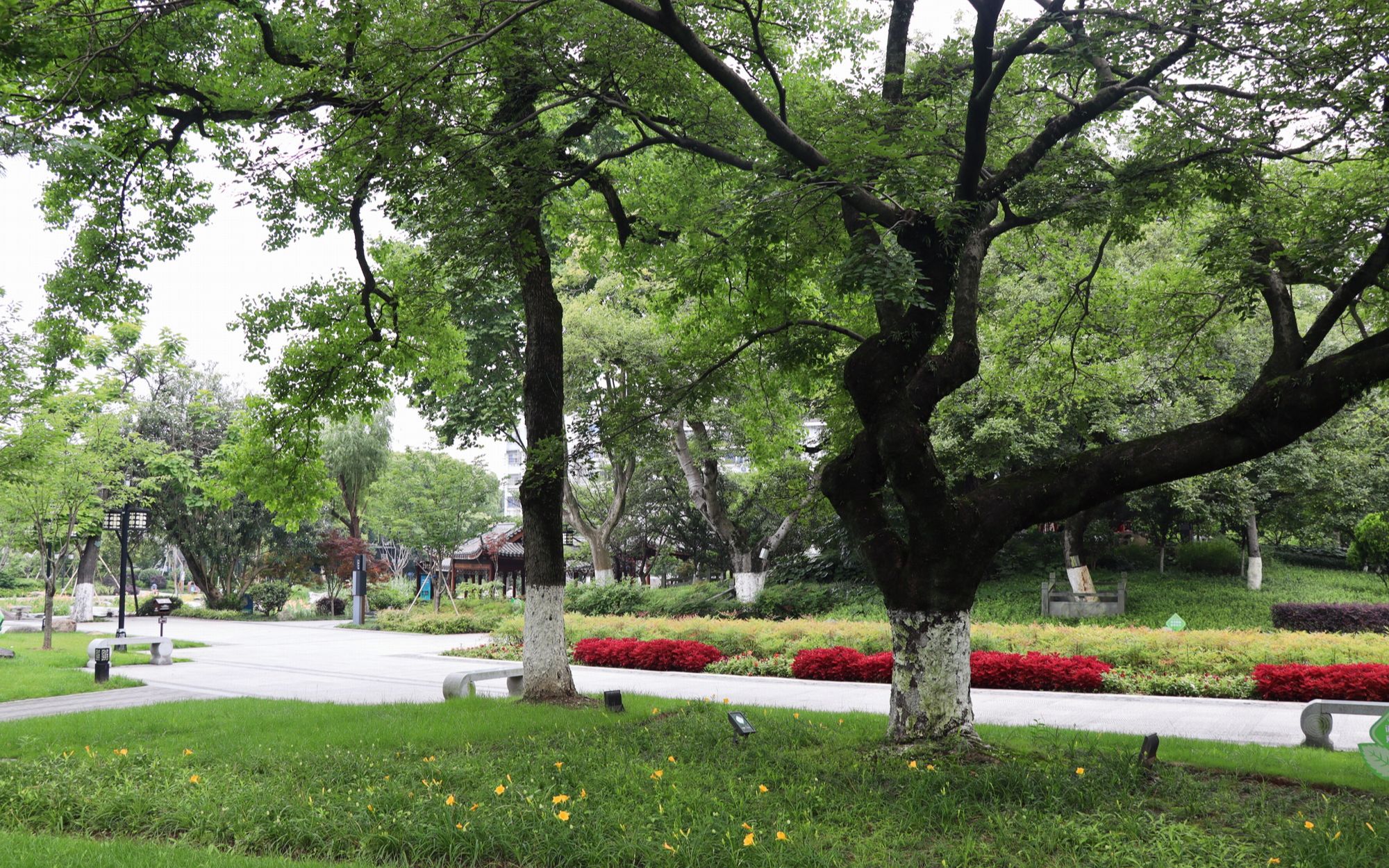 宁波镇海人民公园,假山叠石和古树丛林相映,是周末休闲好去处