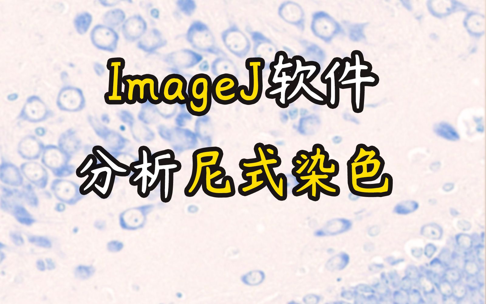 【直播课】ImageJ分析尼式染色哔哩哔哩bilibili