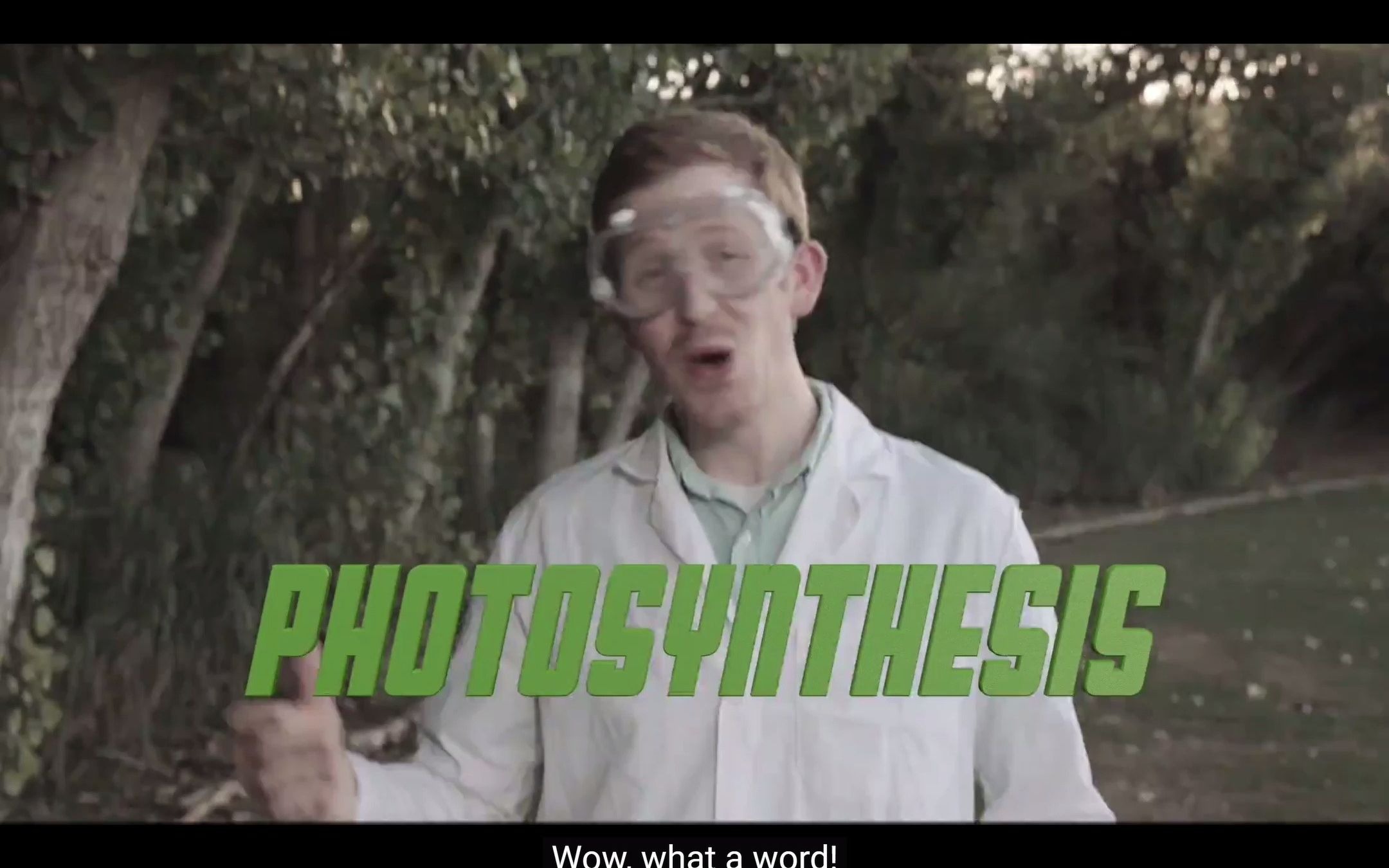 【油管搬运】 Photosynthesis SONG How Does Photosynthesis Work光合作用少儿英文科普哔哩哔哩bilibili