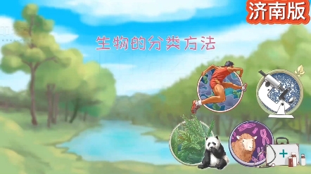 七上生物|趣味动画版《生物的分类方法》哔哩哔哩bilibili