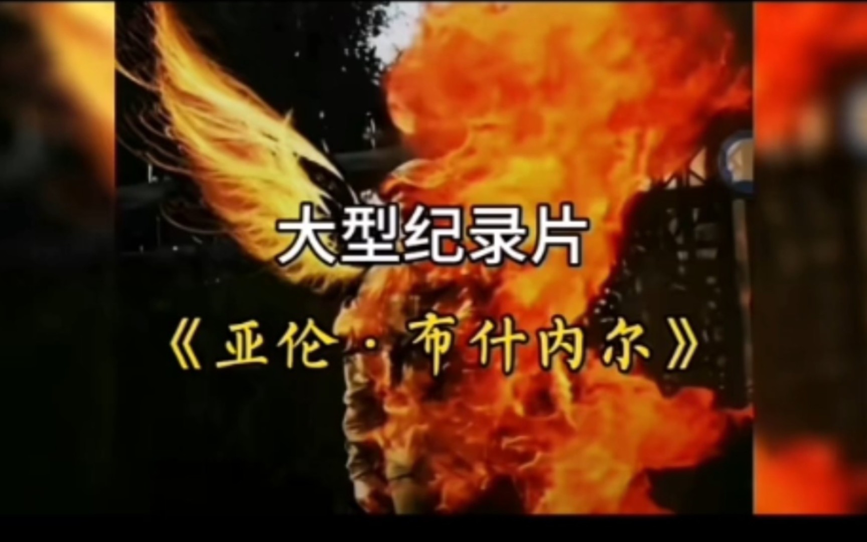 大型纪录片《亚伦.布什内尔》