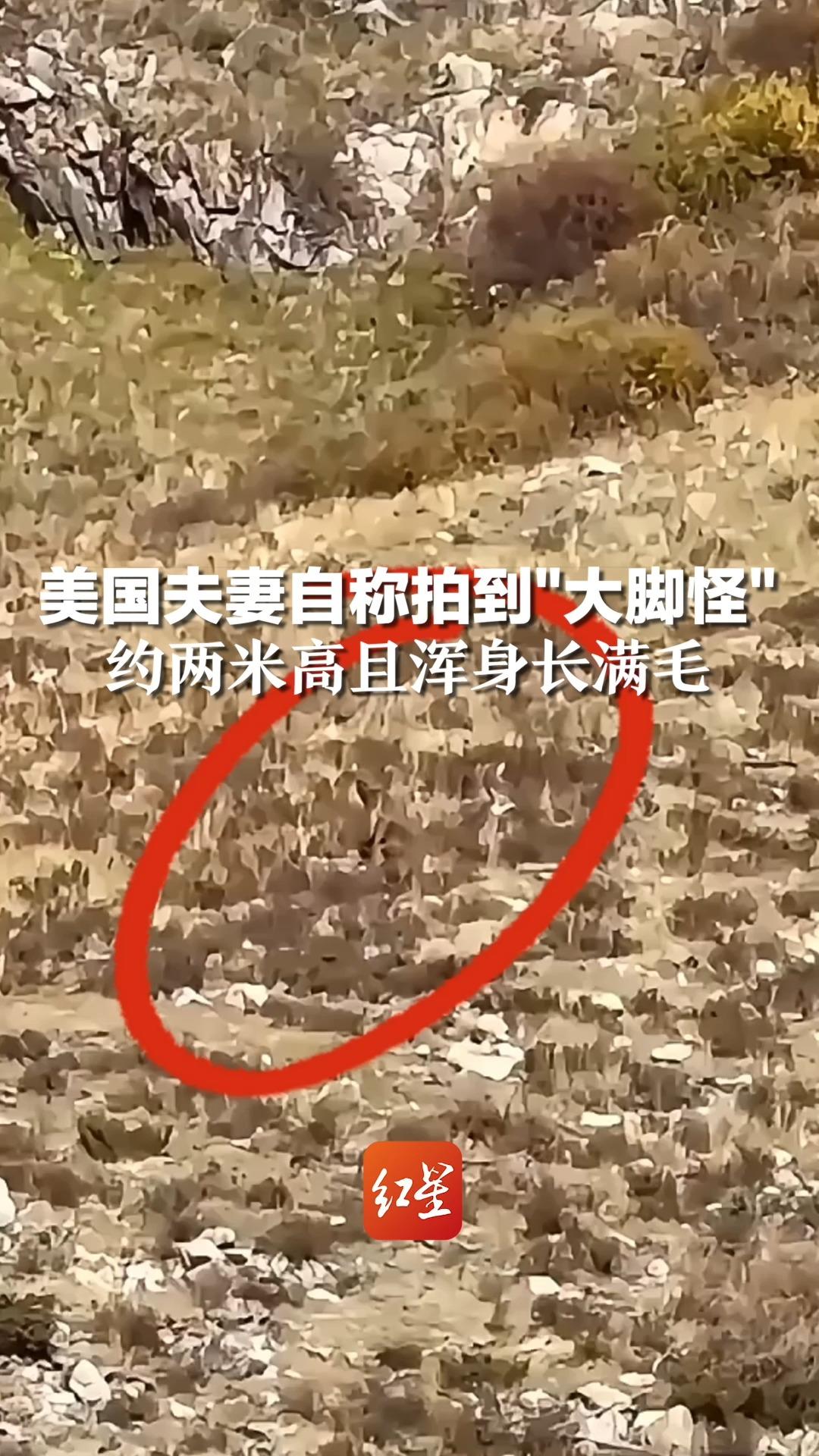 美国夫妻自称拍到"大脚怪",约两米高且浑身长满毛,被质疑是人类伪装