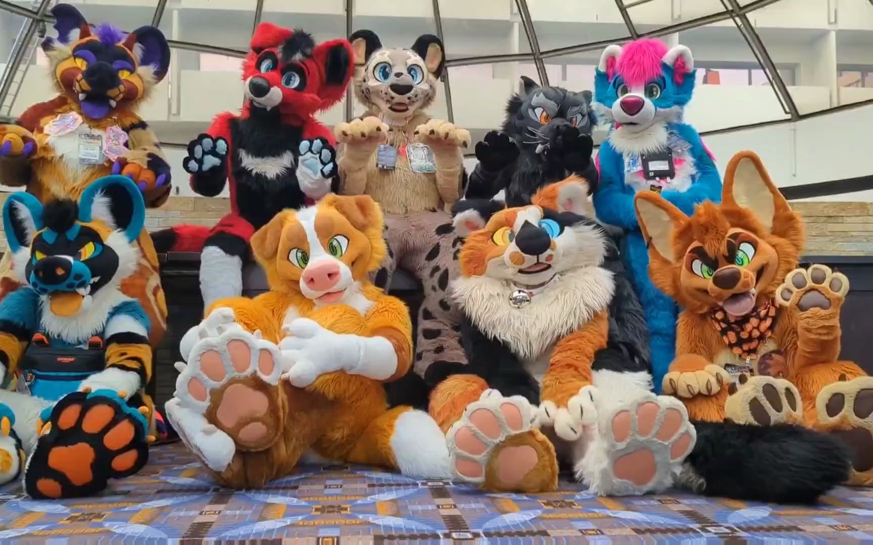 【兽展视频】mff 2021_哔哩哔哩_bilibili