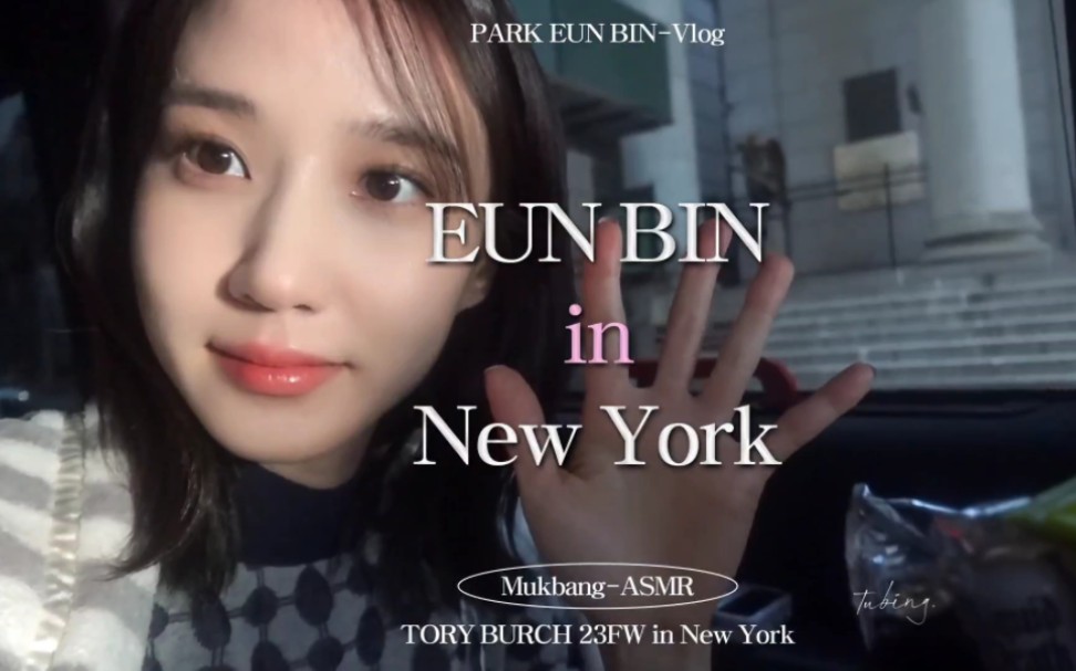 230707|恩斌 NEW YorK Vlog. 之无法不陷入的治愈|是超甜小斌一枚啊啊!(韩文版)哔哩哔哩bilibili