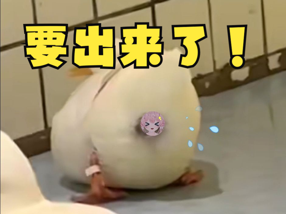 唔啊!!要被生出来啊!哔哩哔哩bilibili