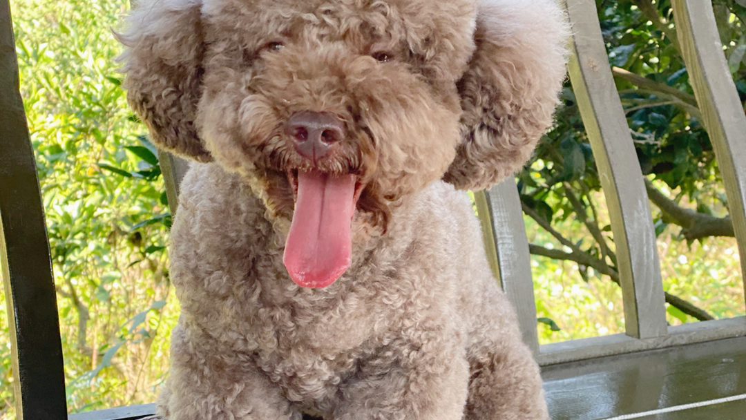 【_黑熊怪_】视频已打包,欢迎围观!