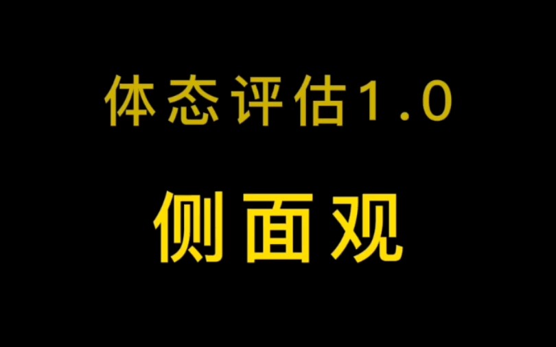 体态评估1.0之侧面观笔记整理哔哩哔哩bilibili