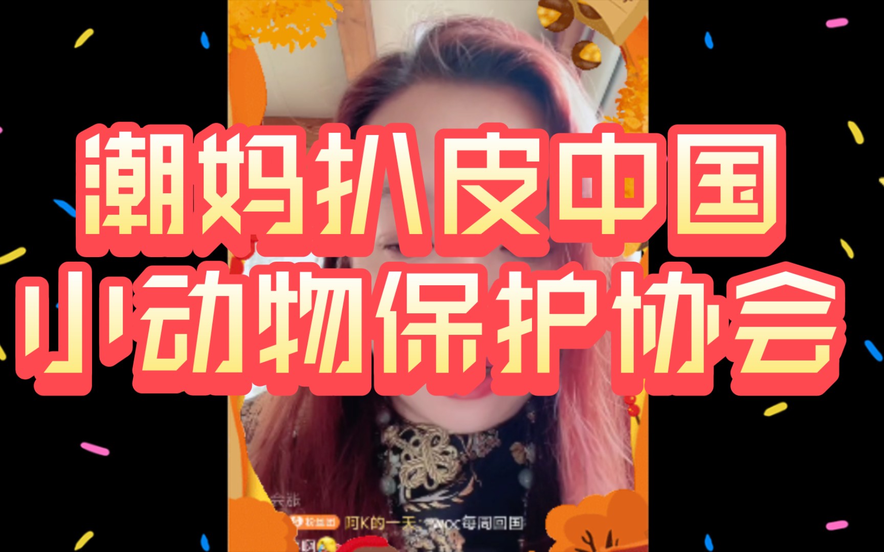 潮妈扒皮中国小动物保护协会哔哩哔哩bilibili