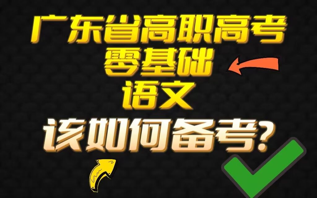 广东省高职高考还有20多天,零基础语文该如何备考?一个视频告诉你怎么办!哔哩哔哩bilibili