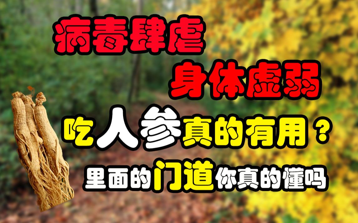 冬季来临,病毒肆虐,身体虚弱,吃人参真的有用吗,里面有多少套路门道你真的了解吗?哔哩哔哩bilibili