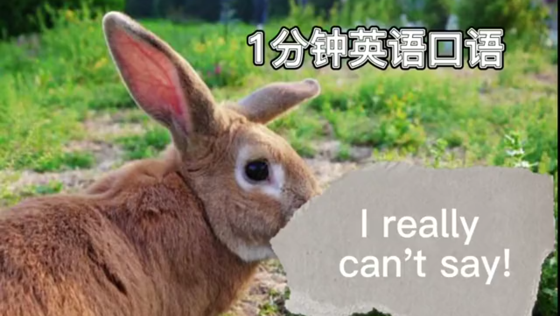 活动作品1分钟英语口语ireallycantsay