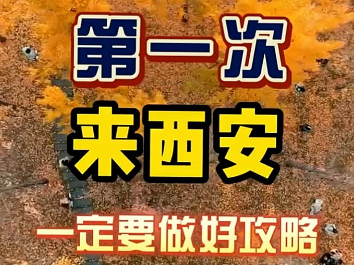 西安旅行新手误区,吐血整理哔哩哔哩bilibili