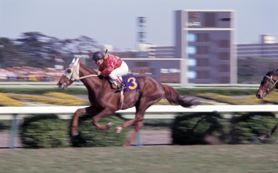 【赛马】1977年经典三冠|皋月赏,日本德比,菊花赏【重型驳船/幸运统治