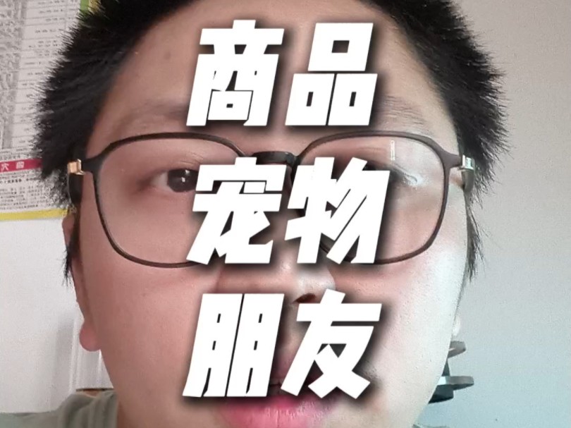 你的狗狗标签是什么