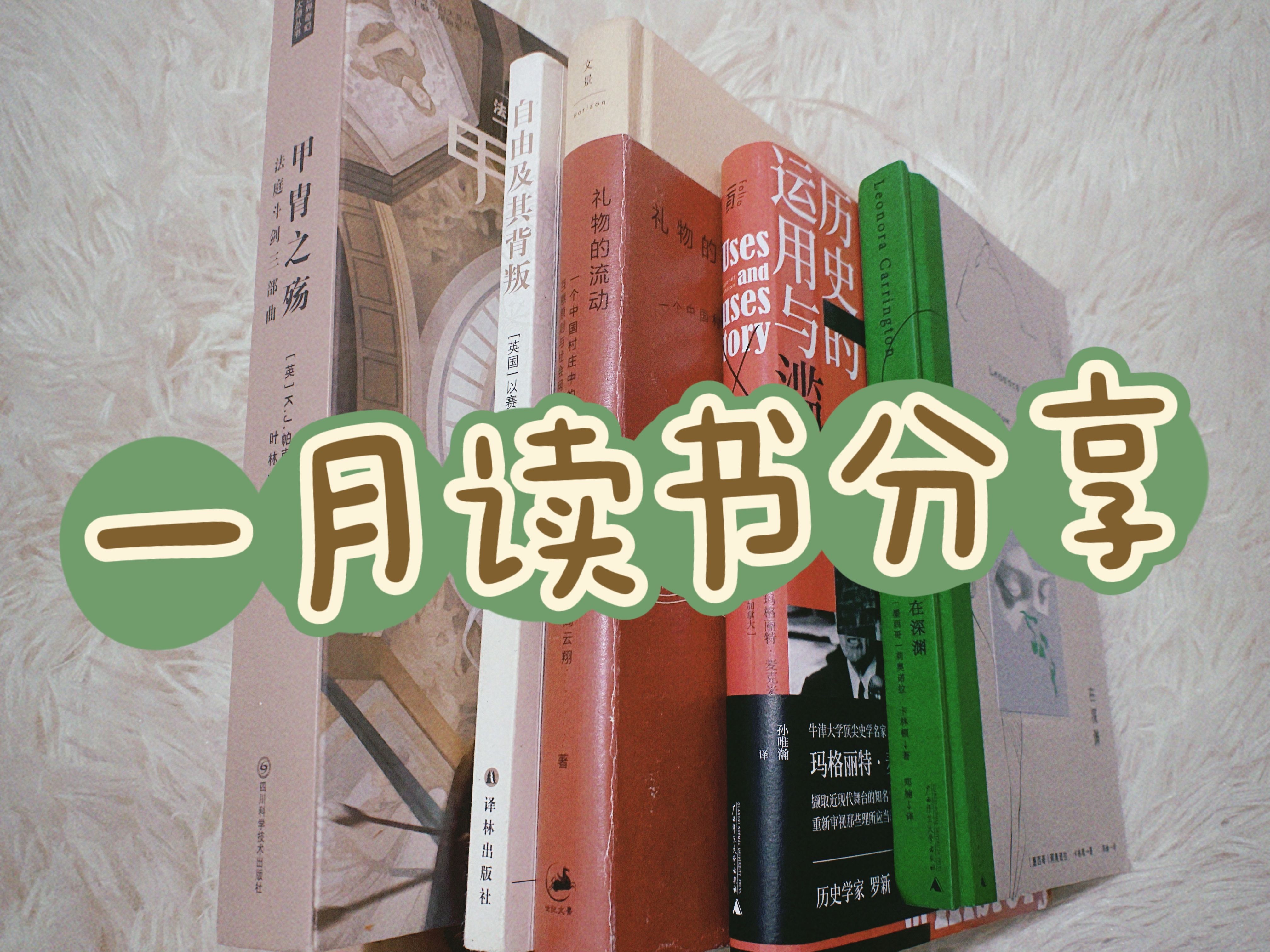 一月读书分享|社科|政治|哲学|奇幻|历史|人类学|我选科幻的标准就像没牙的老奶奶:给我来个最软的!!哔哩哔哩bilibili