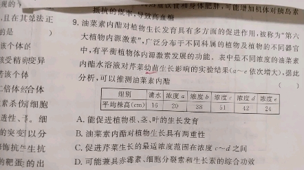 一次弄懂一道题~植物生长素的两重性.哔哩哔哩bilibili