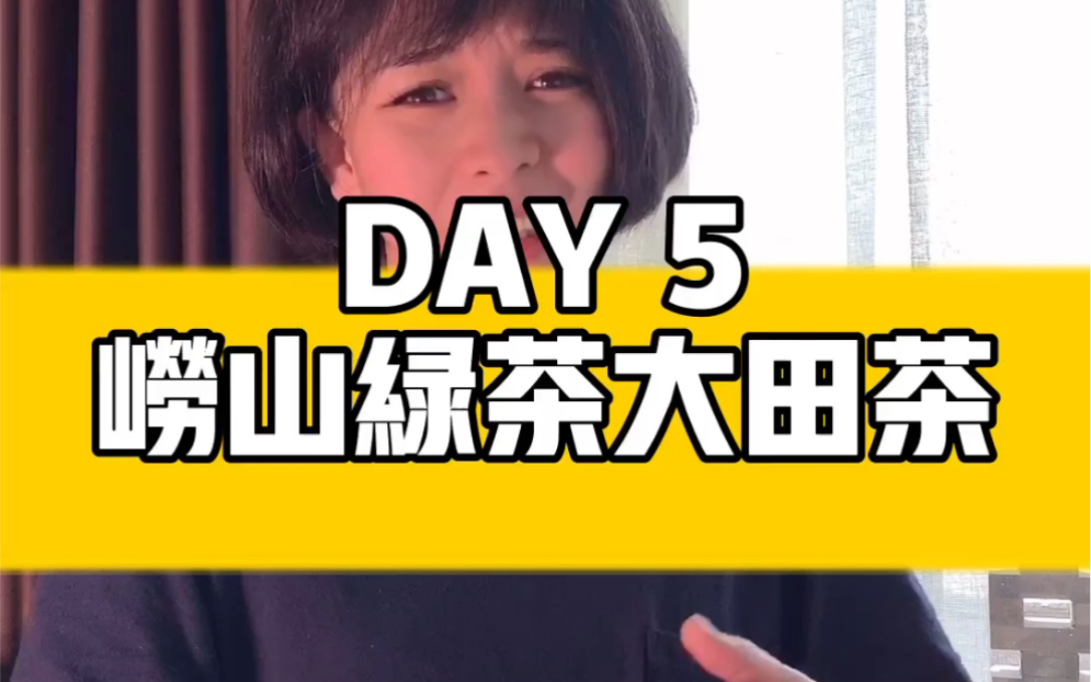 自驾全国看茶山DAY5,什么是青岛崂山绿茶大田茶?哔哩哔哩bilibili