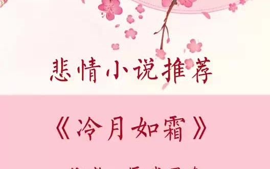 古言悲情小说推荐《冷月如霜》哔哩哔哩bilibili