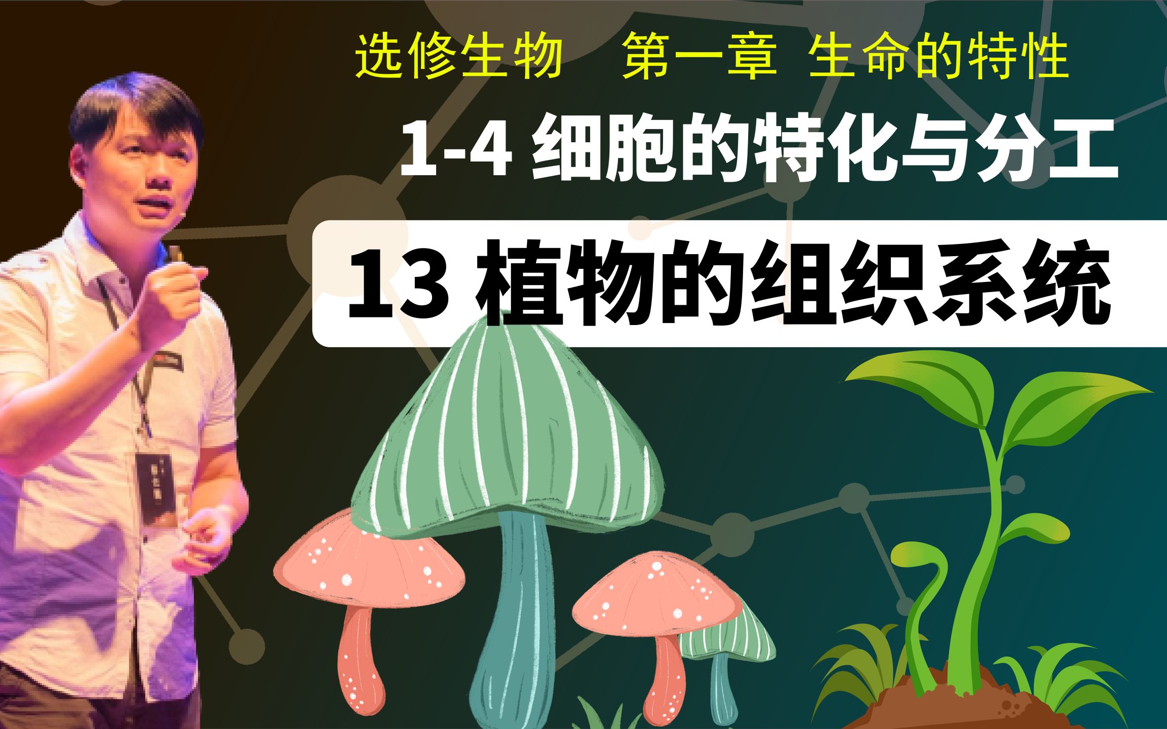 选修生物14.13 植物的组织系统哔哩哔哩bilibili