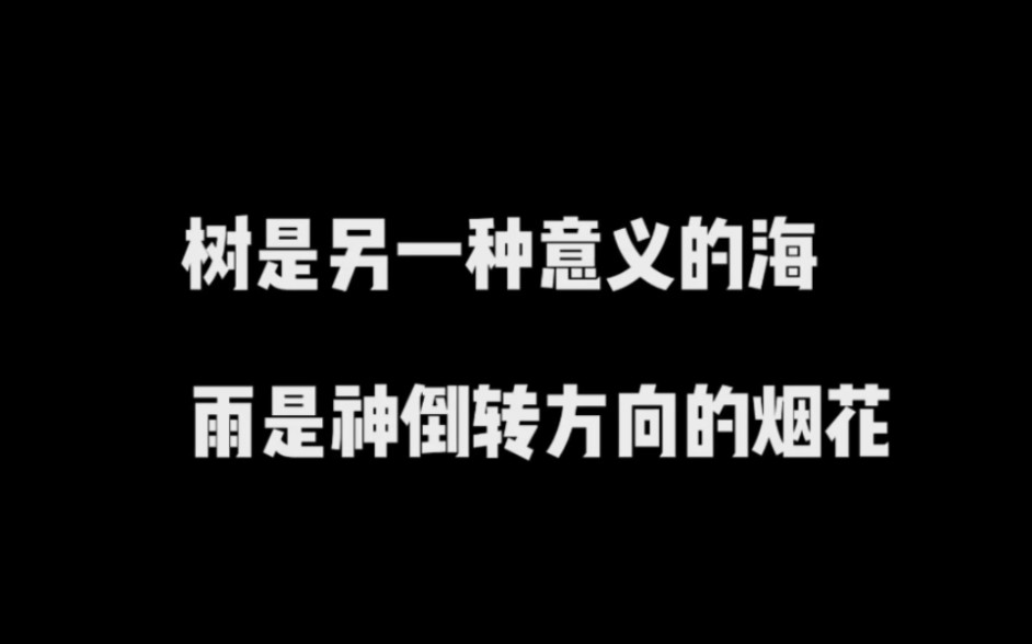 [图]树是另一种意义的海，雨是神倒转方向的烟花。