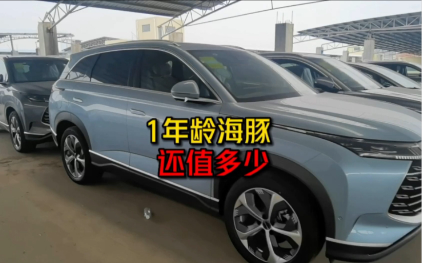 1年的海豚还值多少钱?22年还有广东省补贴8000.如果车架优惠10000哔哩哔哩bilibili