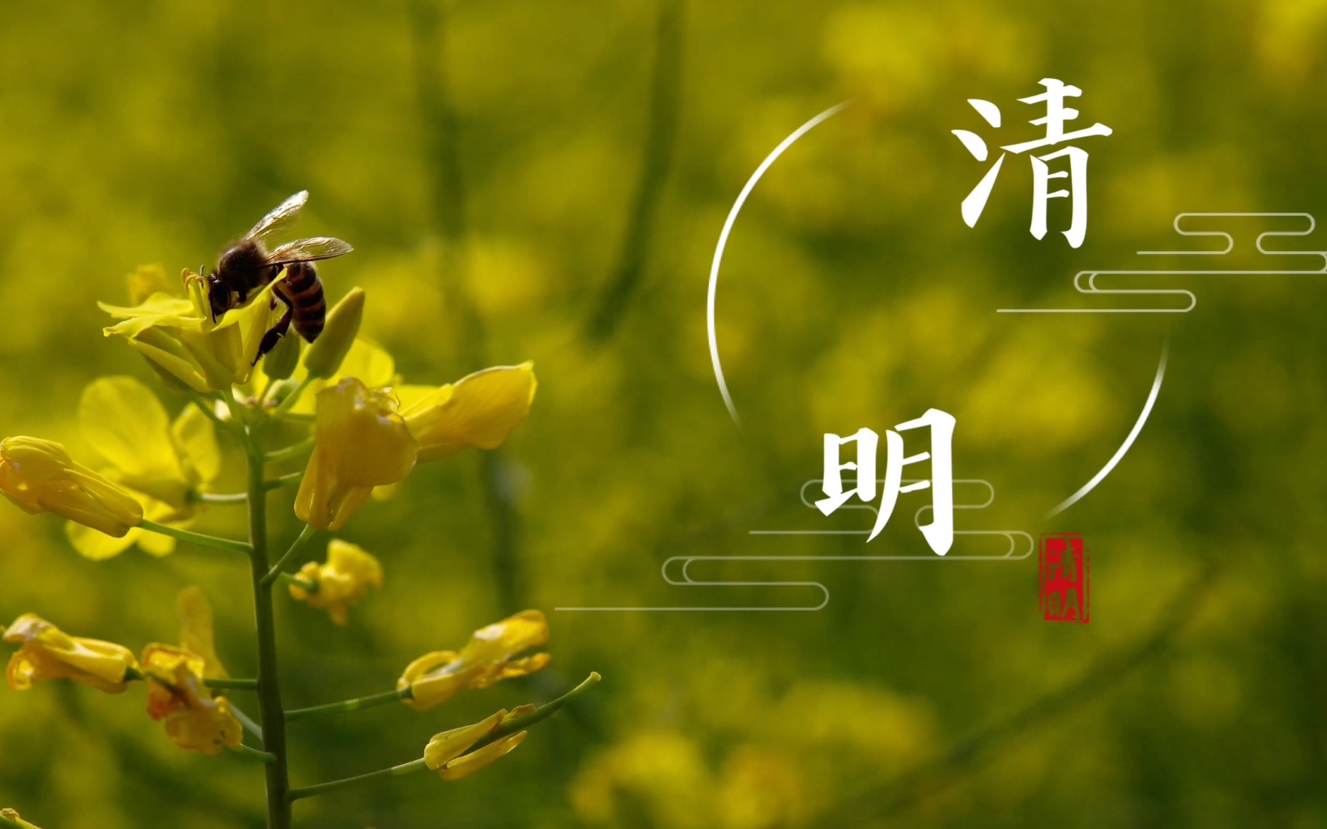 4k sony a6600 sigma 30mm 试拍 清明节 大宁灵石公园