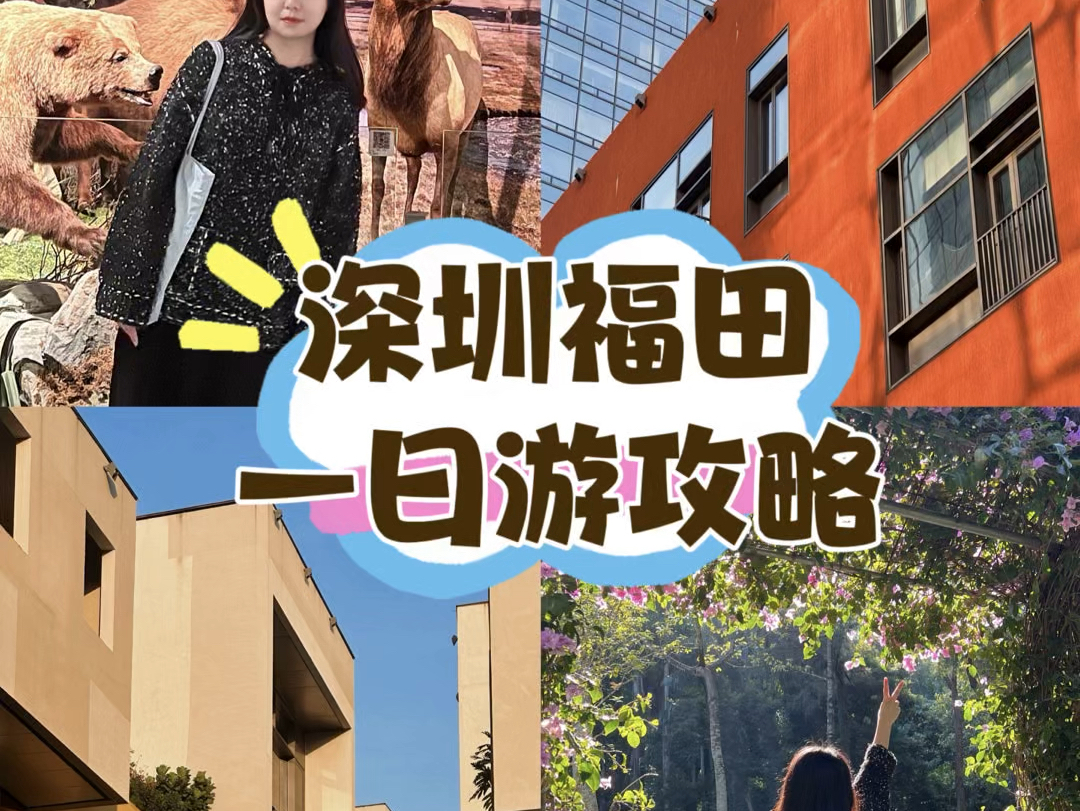 深圳福田区一日游攻略𐟓好适合周末citywalk!哔哩哔哩bilibili