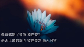 Pg One Say Goodbye Lyrics Video 哔哩哔哩 つロ干杯 Bilibili
