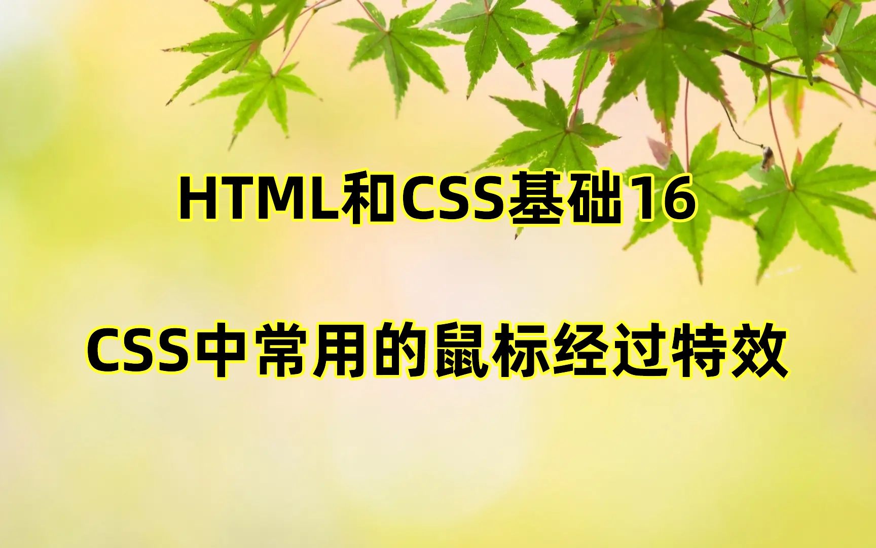 HTML和CSS基础16:CSS中常用的鼠标经过元素时的特效哔哩哔哩bilibili