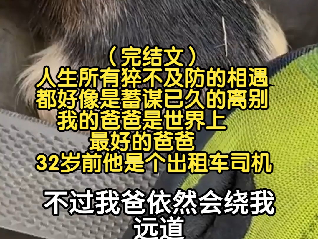 [图]（完结文）人生所有猝不及防的相遇，都好像是蓄谋已久的离别，我的爸爸是世界上最好的爸爸，32岁前他是个出租车司机