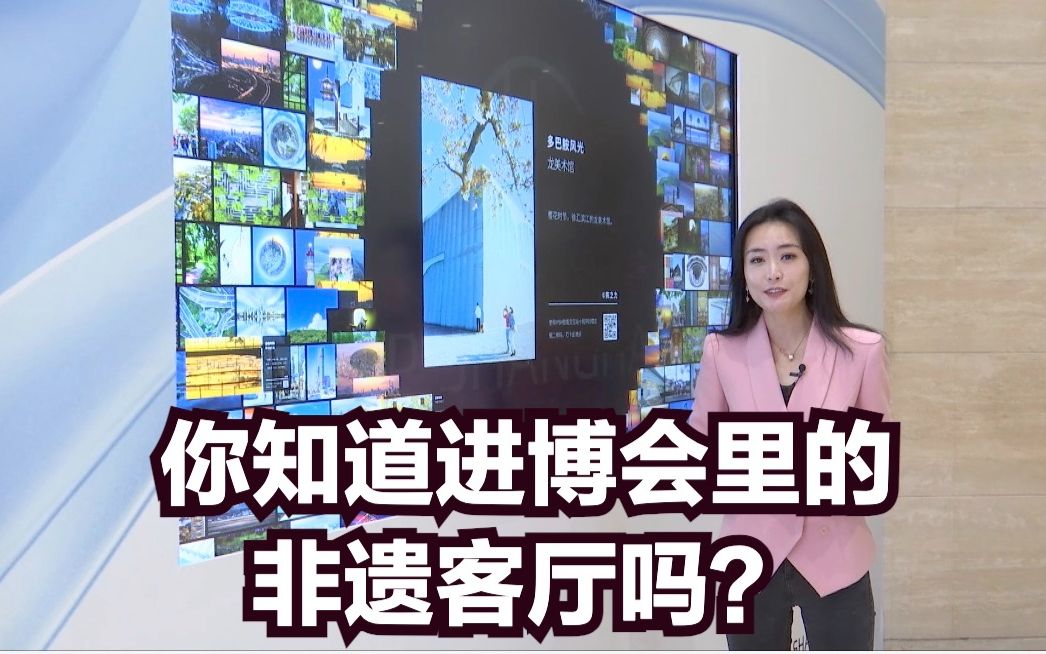 你知道进博会里的非遗客厅吗?哔哩哔哩bilibili