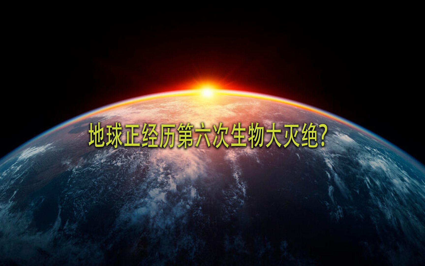 地球可能正经历第六次生物大灭绝,罪魁祸首是我们人类!哔哩哔哩bilibili